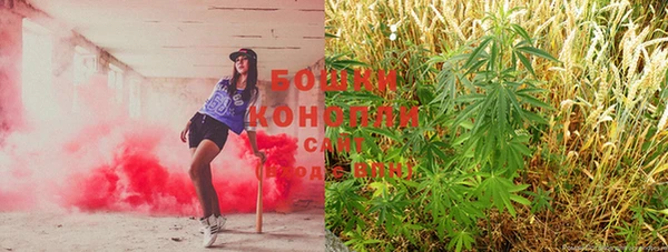 mix Вяземский