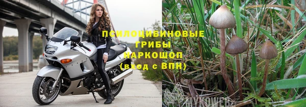 mix Вяземский