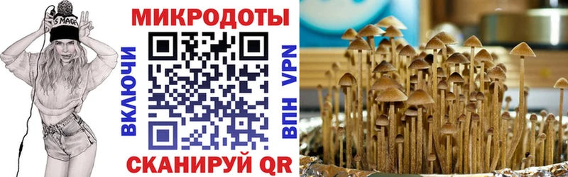 ОМГ ОМГ ТОР  Великий Новгород  Псилоцибиновые грибы ЛСД 